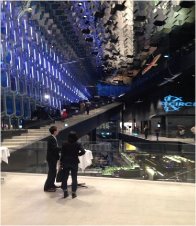 Is Scotland a country of the Arctic?