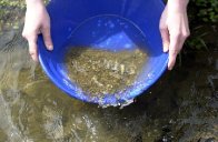 New Gold Rush in Aberdeenshire village of Towie