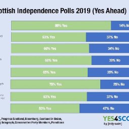 Polls in 2019.jpg
