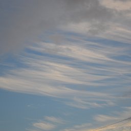 DSC_0012.JPG.jpg