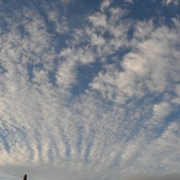 DSC_0025.JPG.jpg
