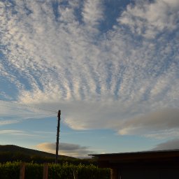 DSC_0026.JPG.jpg