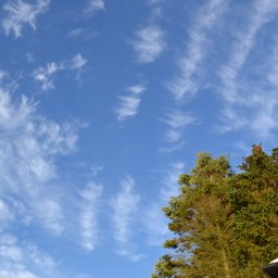 DSC_0027.JPG.jpg