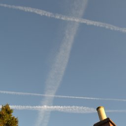 DSC_0050.JPG.jpg