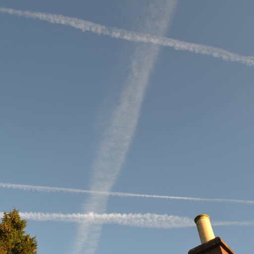 DSC_0050