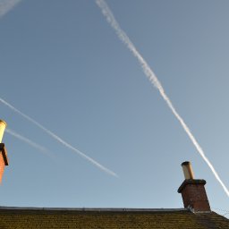 DSC_0049.JPG.jpg